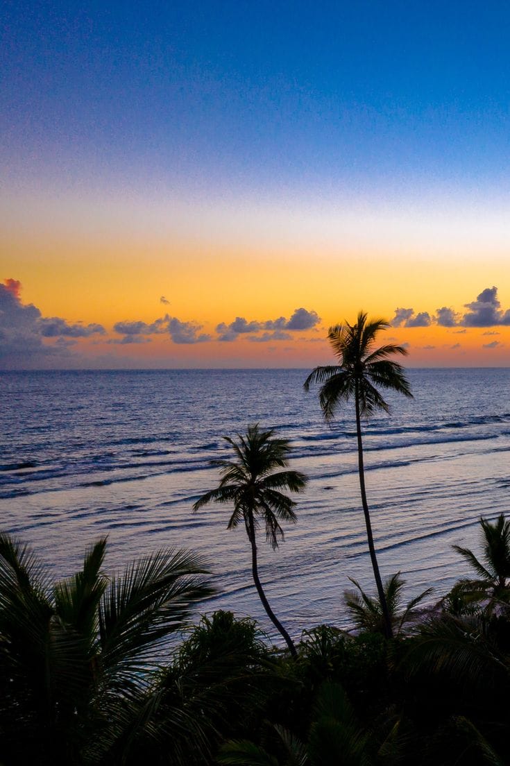 Goa