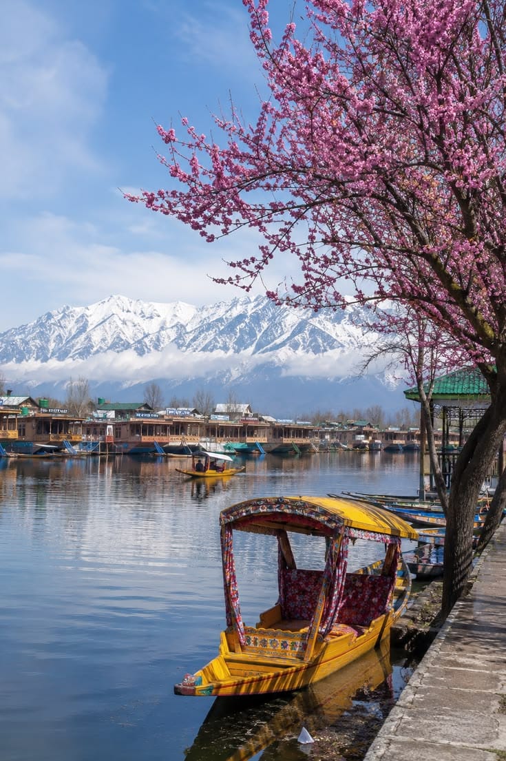 Kashmir